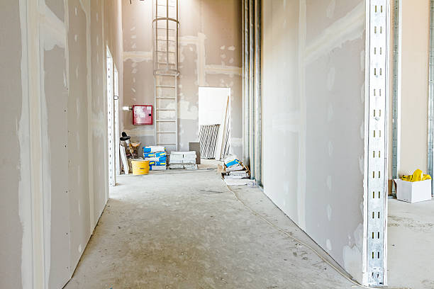 Best Drywall Repair  in Erath, LA